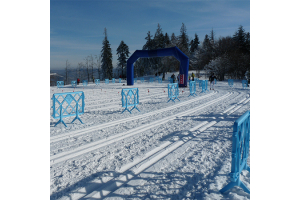 Invierno: así preparamos los espacios